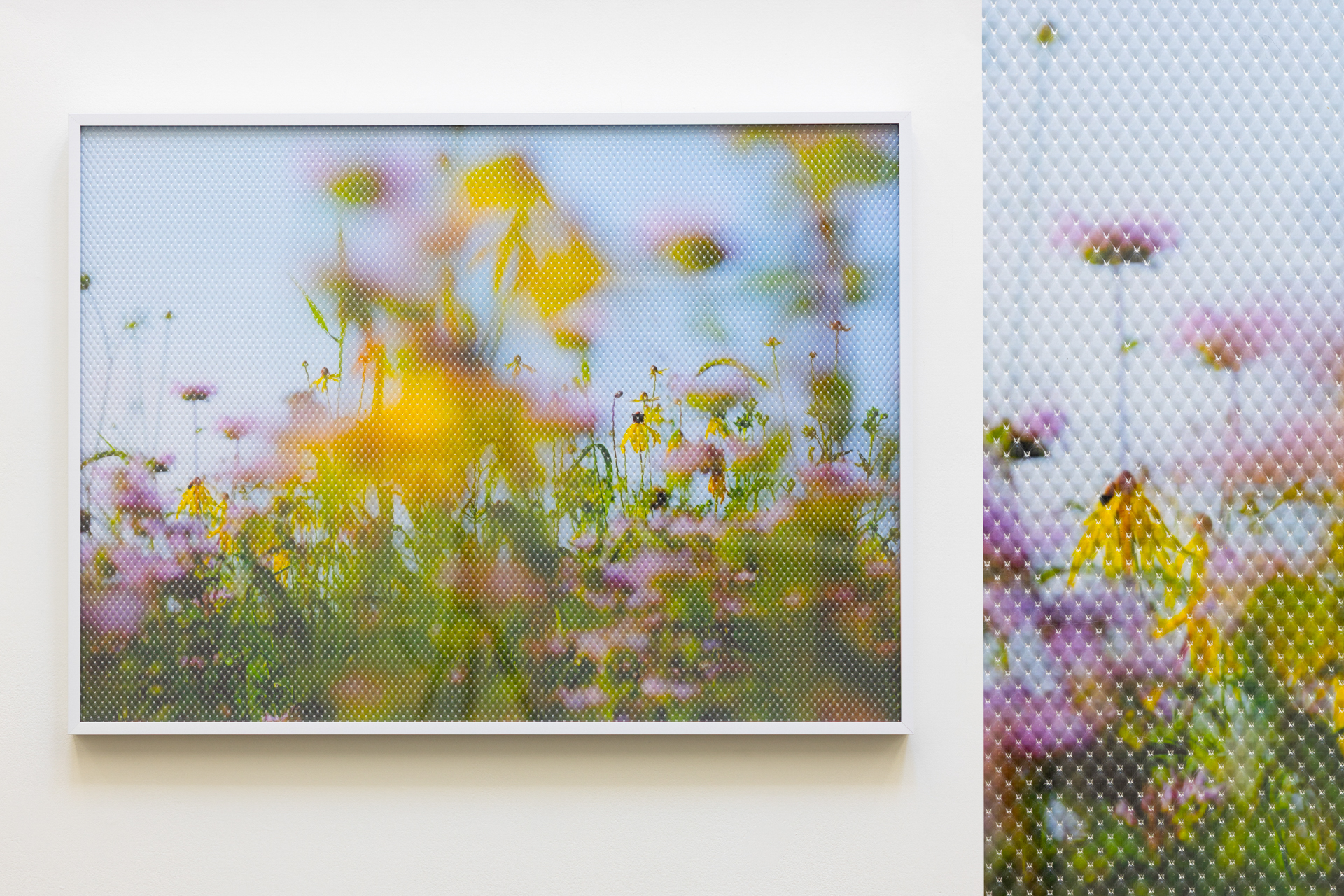 NearGreenValley.DanielRibarErikHendersonGalerieCamille